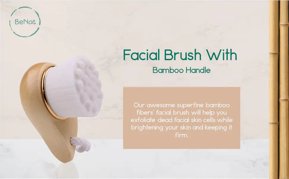 EcoSoft Facial Brush