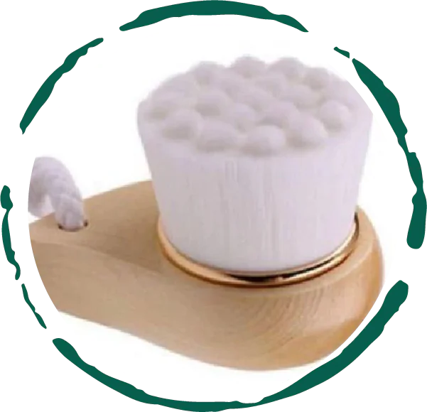 EcoSoft Facial Brush