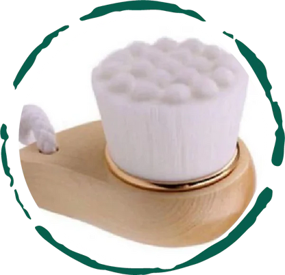 EcoSoft Facial Brush