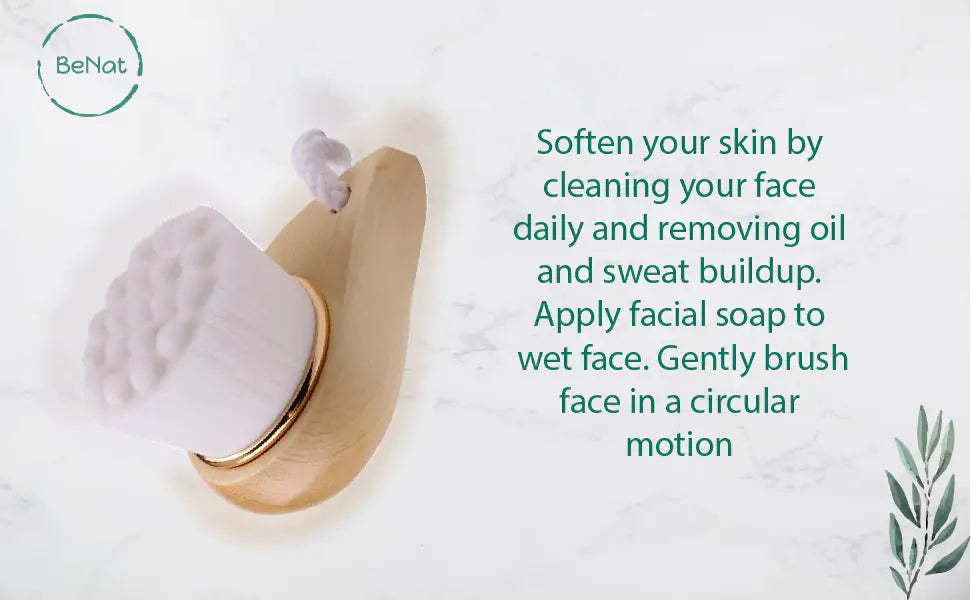 EcoSoft Facial Brush